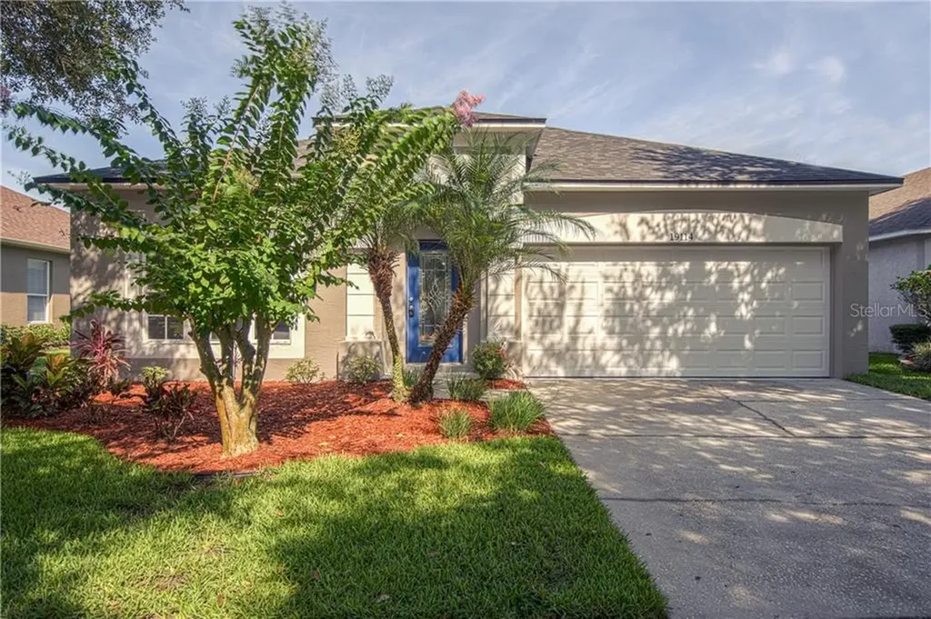 19114 Chemille Drive Lutz FL 33558