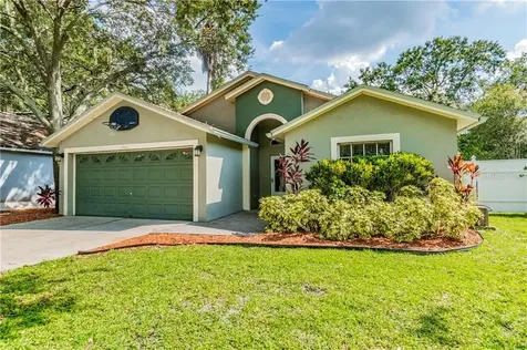 13410 Bellingham Drive Tampa FL 33625