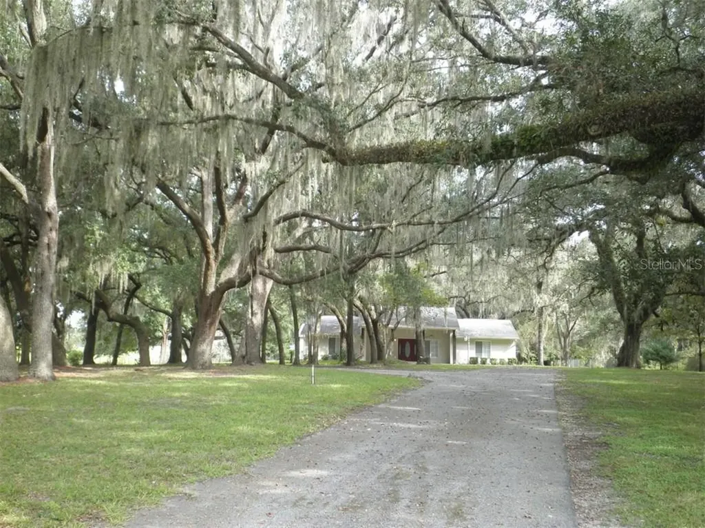 7070 SE 181st Court Morriston FL 32668