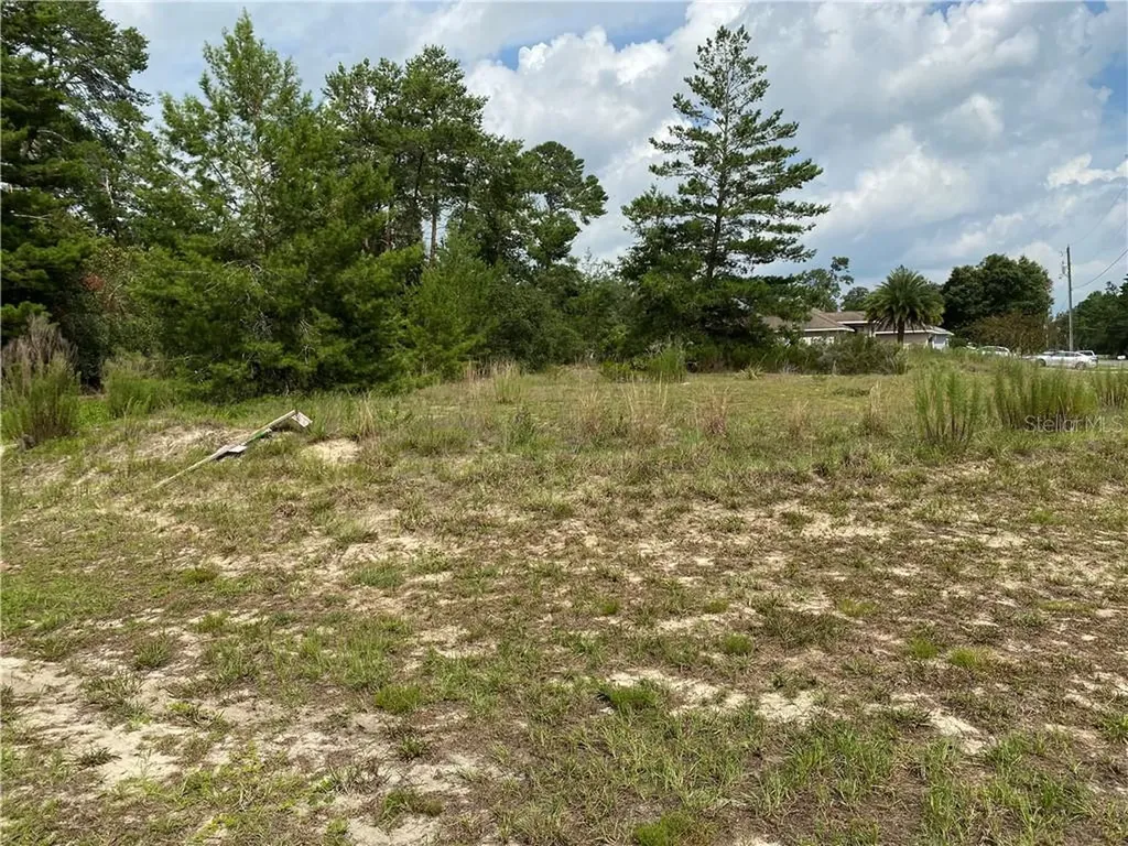 16657 SW 22nd Terrace Road Ocala FL 34473