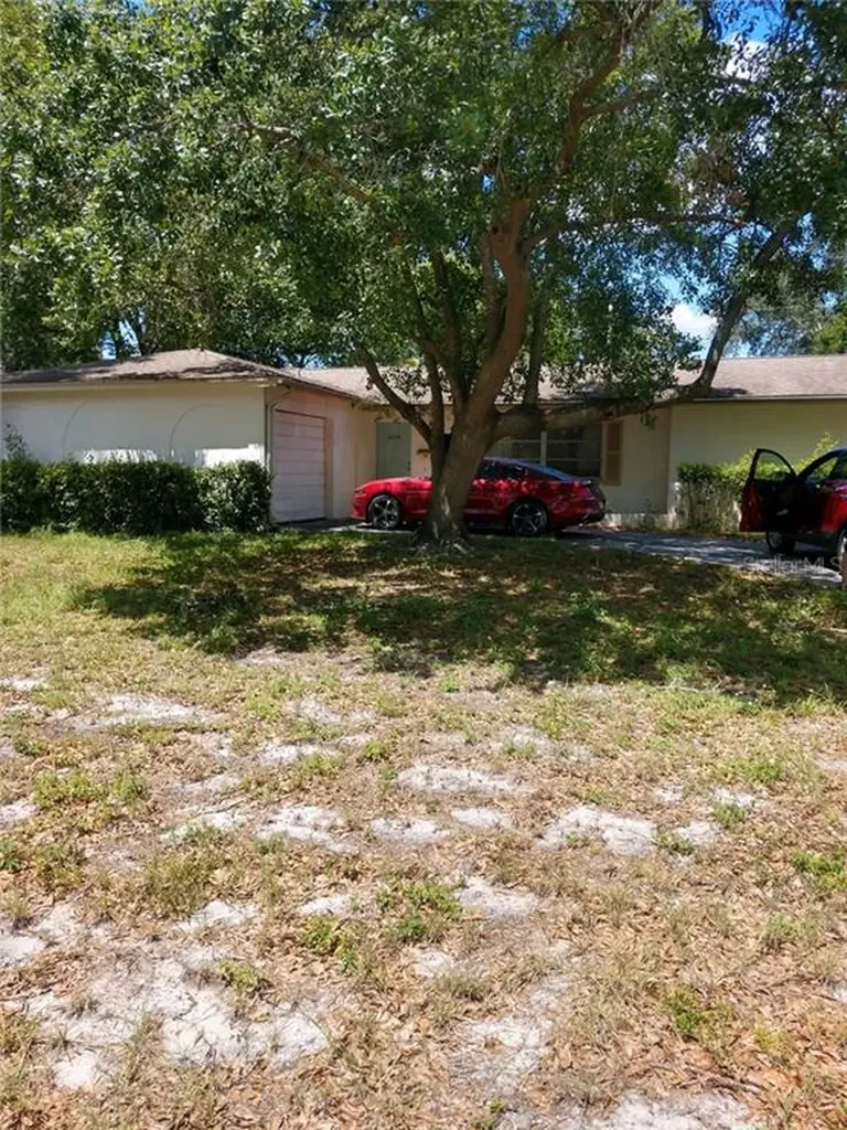 2604 Campus Hill Drive Tampa FL 33612