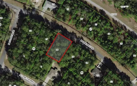9840 N Sandree Drive Citrus Springs FL 34434