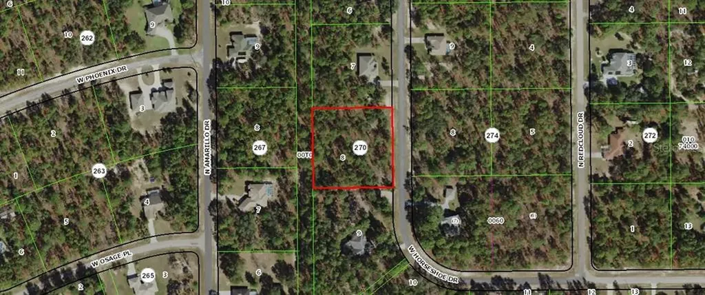 4424 W Horseshoe Drive Beverly Hills FL 34465