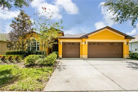 16133 Bridgedale Drive Lithia FL 33547