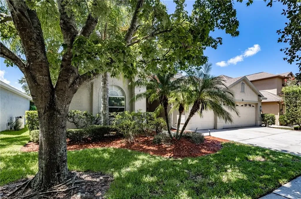 18720 Chopin Drive Lutz FL 33558