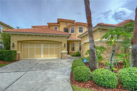 11639 Bristol Chase Drive Tampa FL 33626