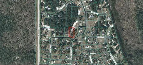 5901 NE 57th Loop Silver Springs FL 34488