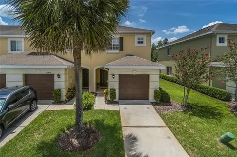 20436 Needletree Drive Tampa FL 33647