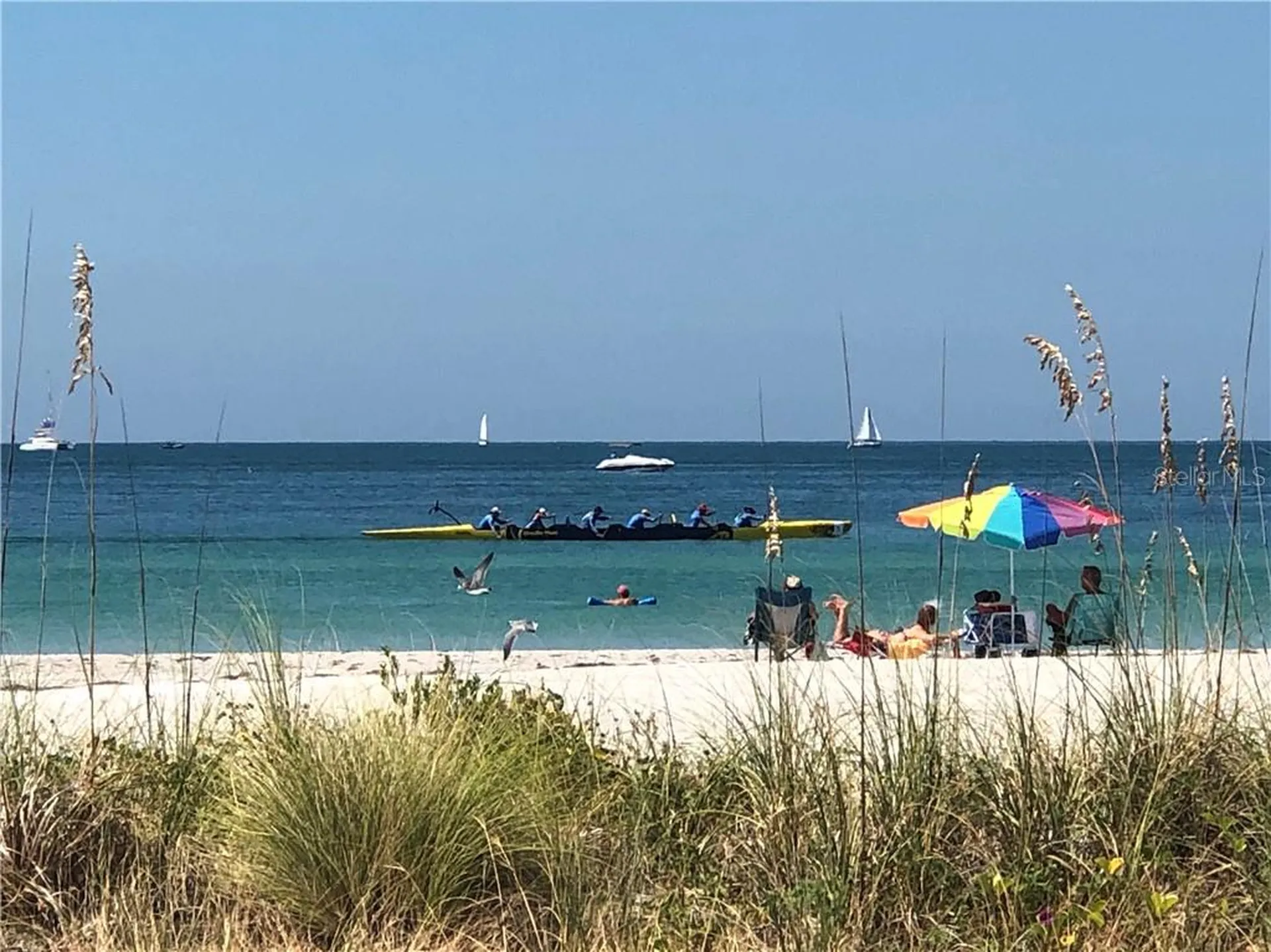 1460 Gulf Boulevard Clearwater FL 33767