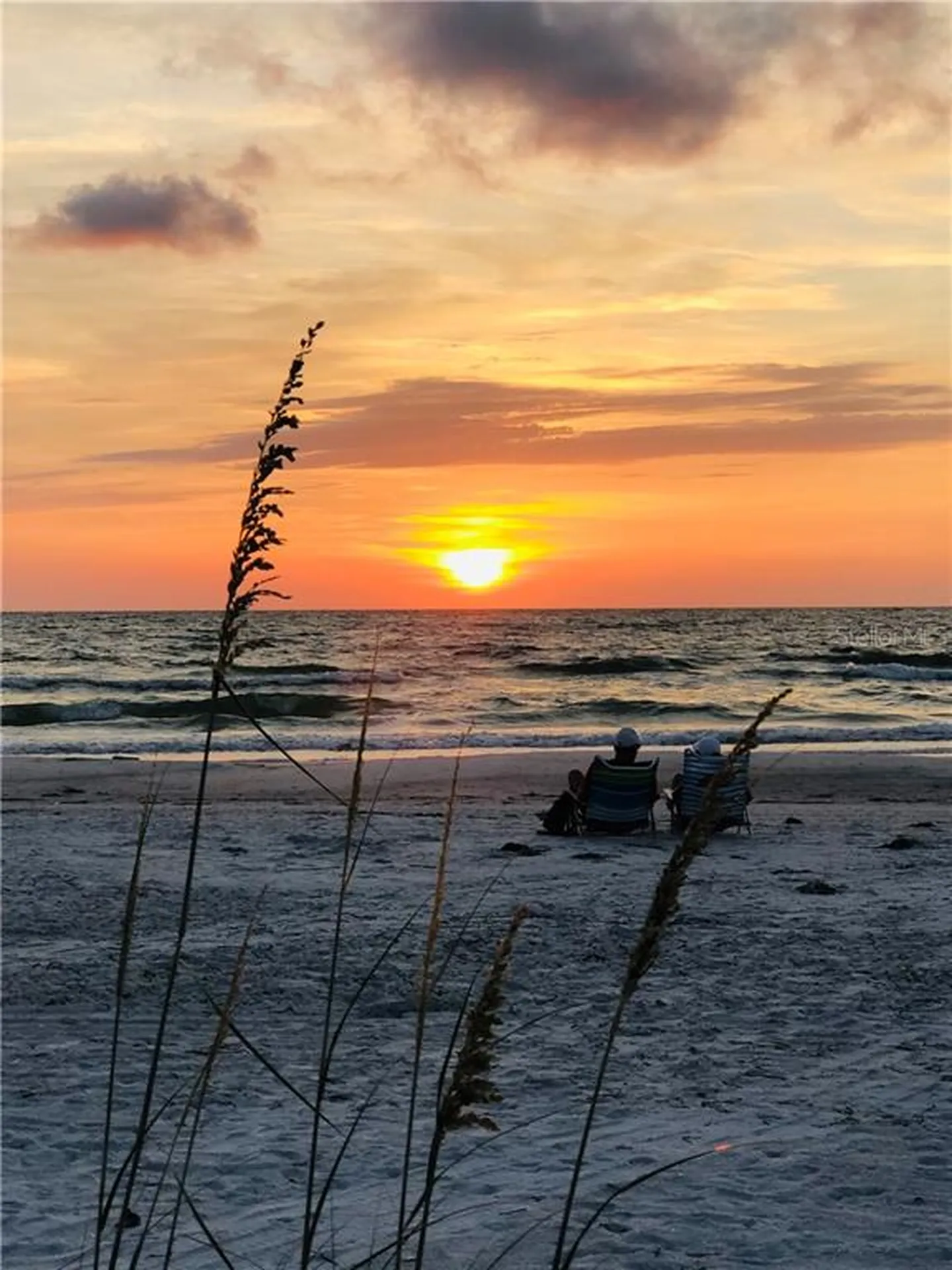 1460 Gulf Boulevard Clearwater FL 33767