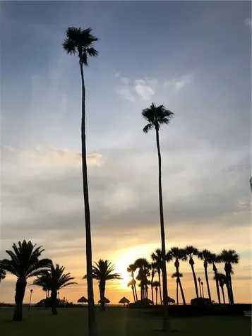 1460 Gulf Boulevard Clearwater FL 33767