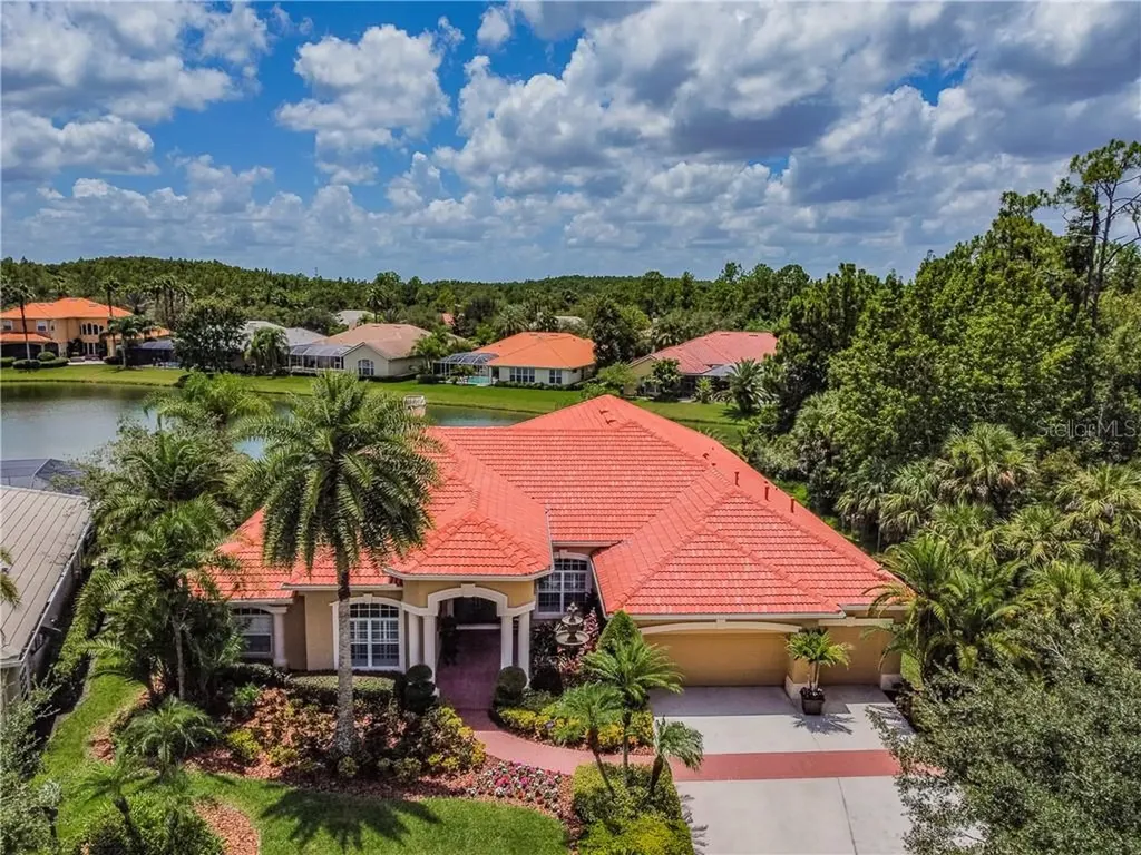 17216 Broadoak Drive Tampa FL 33647