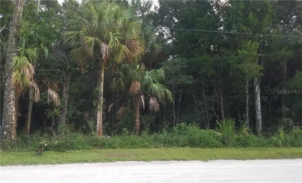 11054 W Rockhaven Lane Homosassa FL 34448