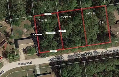 1229 Theresa Street SE Palm Bay FL 32909