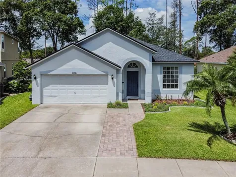 22705 Marsh Wren Drive Land O Lakes FL 34639