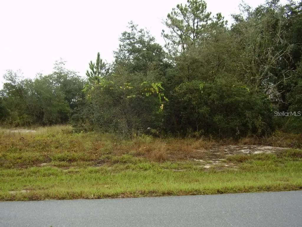 1609 Tench Court Kissimmee FL 34759