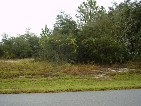 1609 Tench Court Kissimmee FL 34759