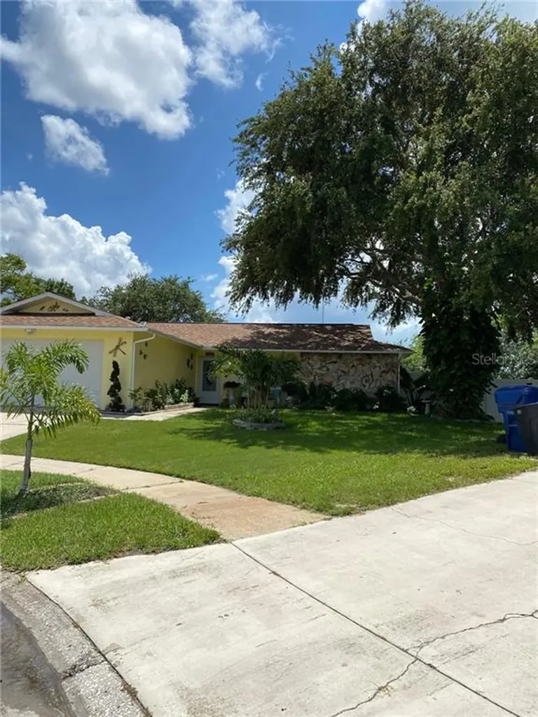 2415 Mondale Court Holiday FL 34691
