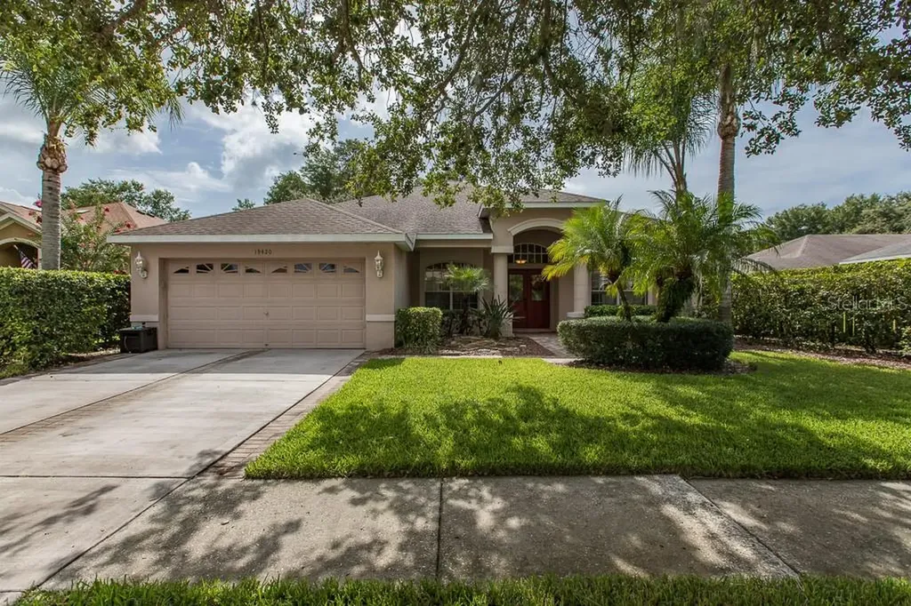 19420 Morden Blush Drive Lutz FL 33558