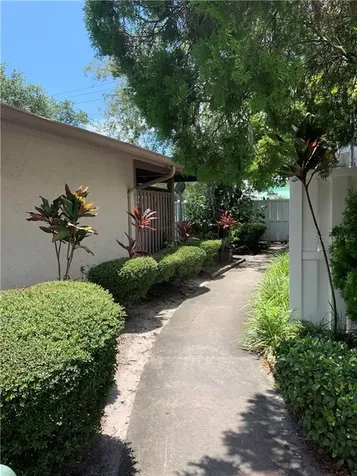 7308 Baja Court Tampa FL 33634