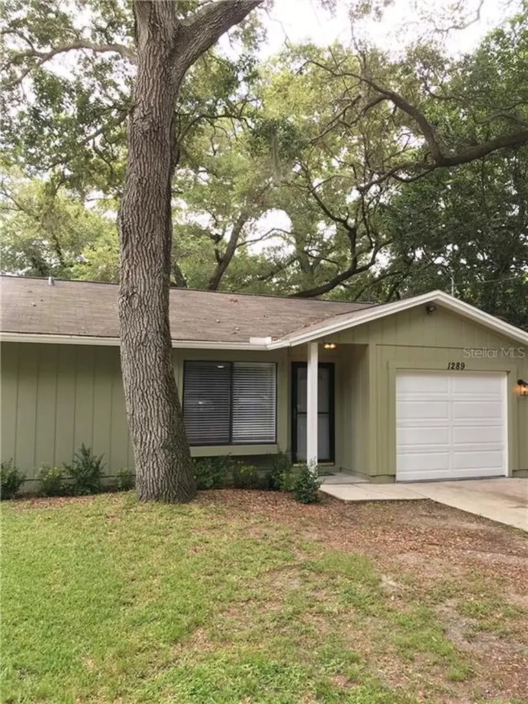 1289 New York Avenue Dunedin FL 34698