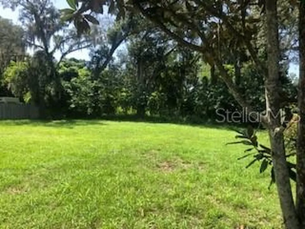 11605 Colony Hill Drive Seffner FL 33584