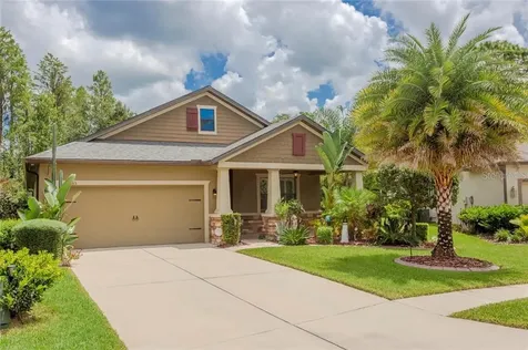 8535 May Port Court Land O Lakes FL 34638