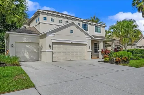 9851 Asbel Estates Street Land O Lakes FL 34638