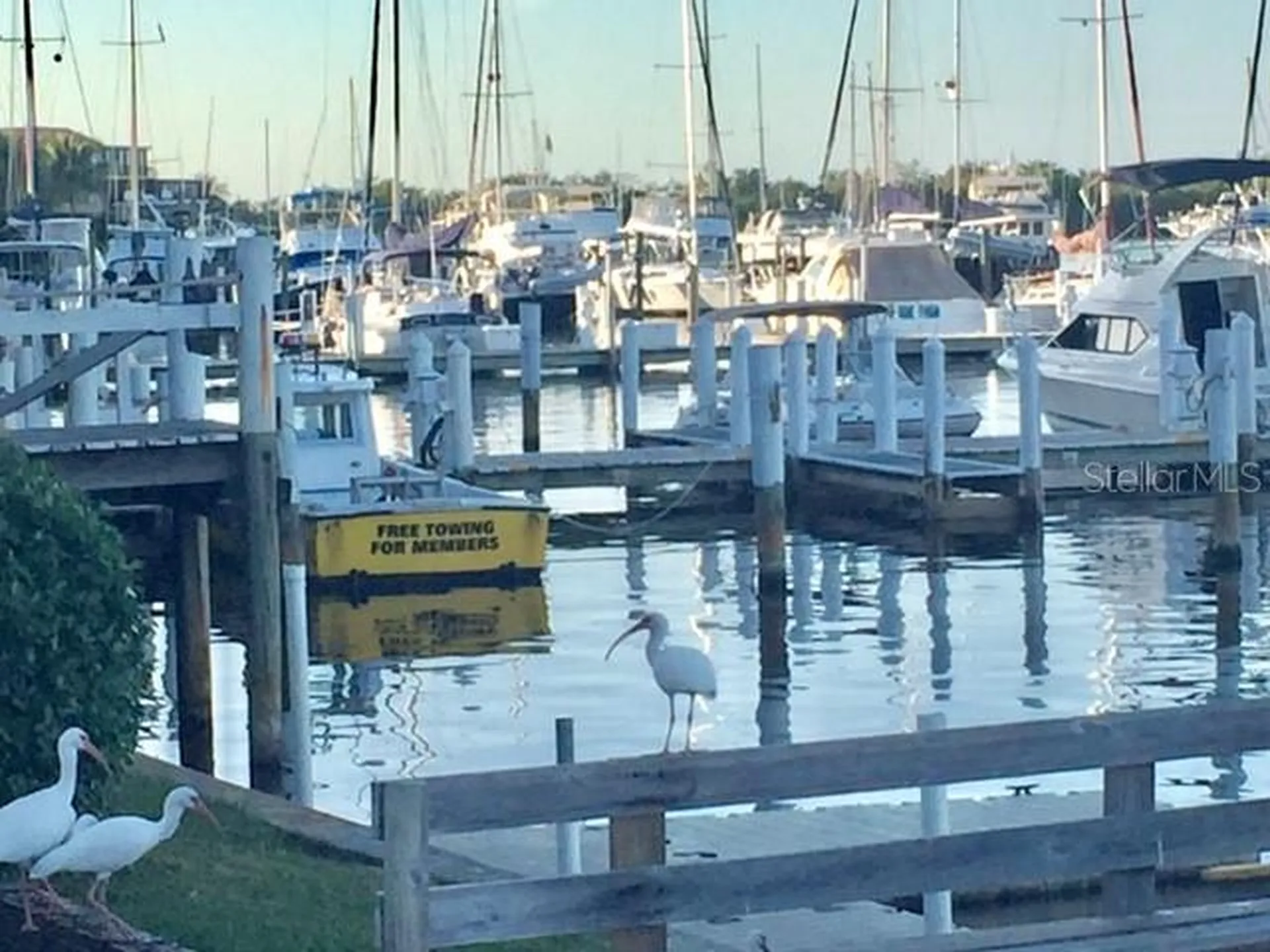3001 King Tarpon Drive Punta Gorda FL 33955