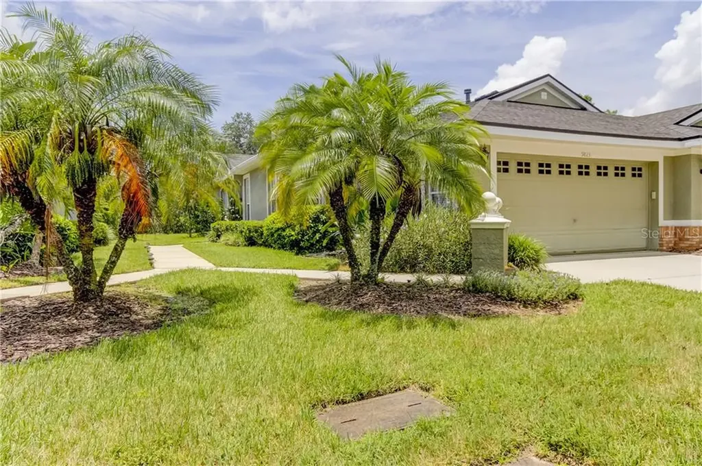 9823 Gingerwood Drive Tampa FL 33626