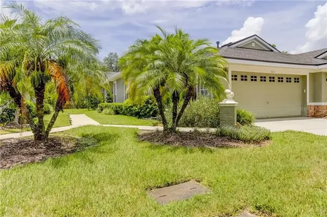 9823 Gingerwood Drive Tampa FL 33626