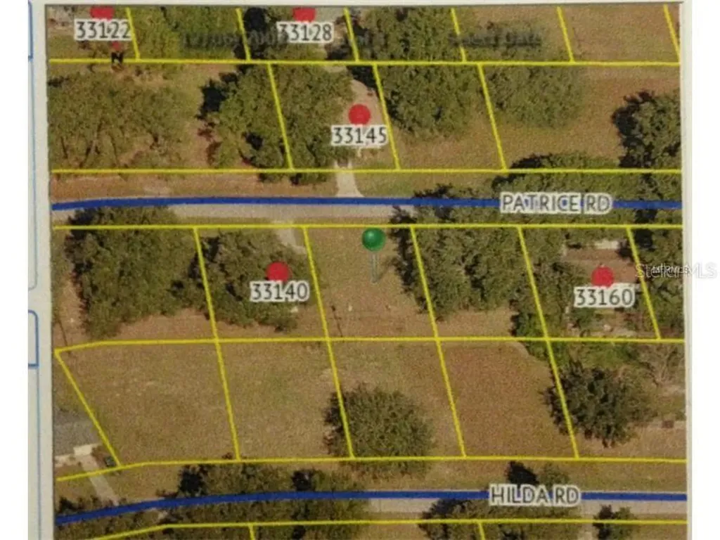 33146 Patrice Road Dade City FL 33523