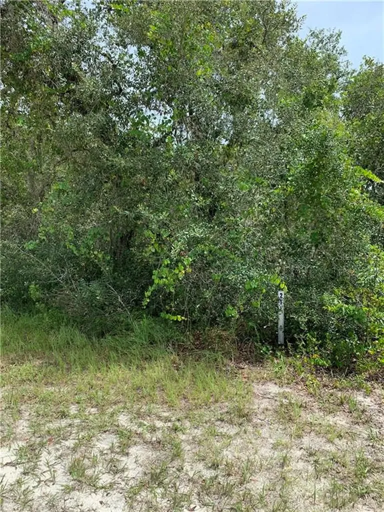 901 Bay Court Frostproof FL 33843