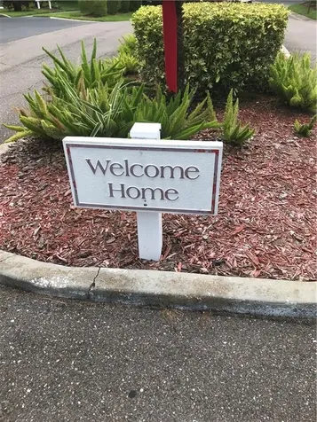 1142 Dover Court Safety Harbor FL 34695
