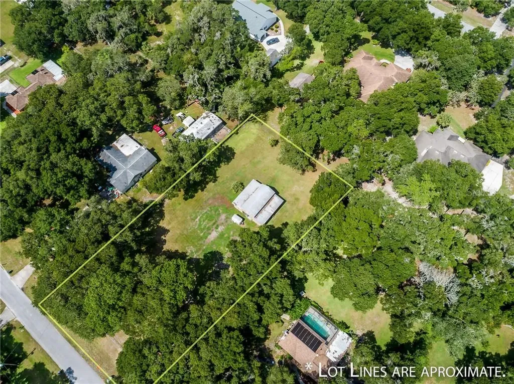 8423 Southwood Oaks Street Lithia FL 33547