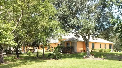 17425 Palamino Lake Drive Dade City FL 33523