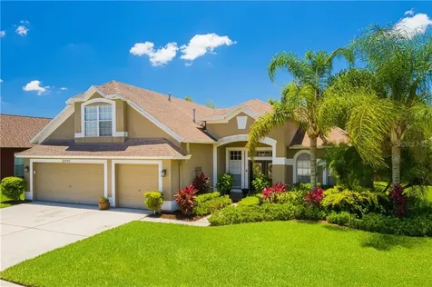 22702 Neff Court Land O Lakes FL 34639