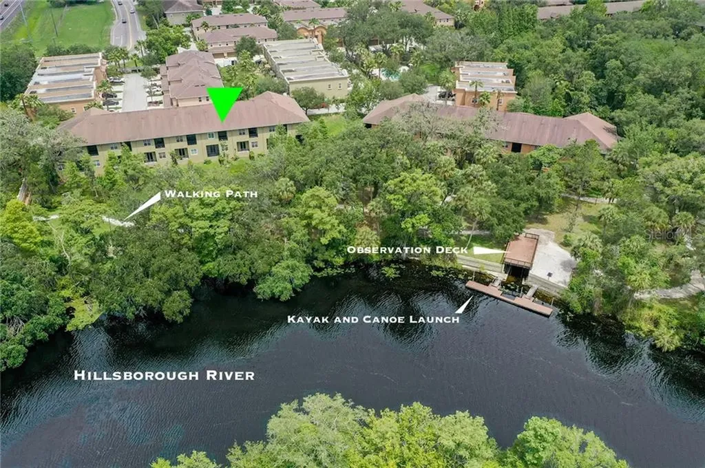 11508 Bellamar Street Temple Terrace FL 33637