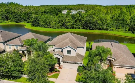 20502 Carolina Cherry Court Tampa FL 33647