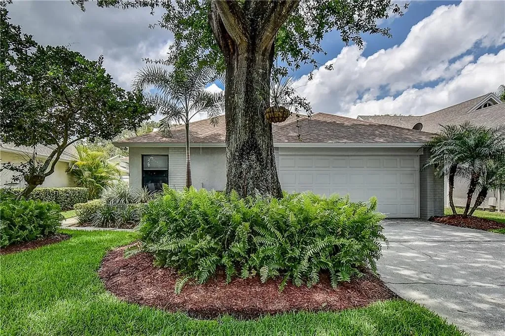 14506 Clifty Court Tampa FL 33624