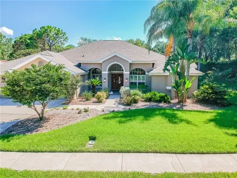 3618 Executive Drive Palm Harbor FL 34685