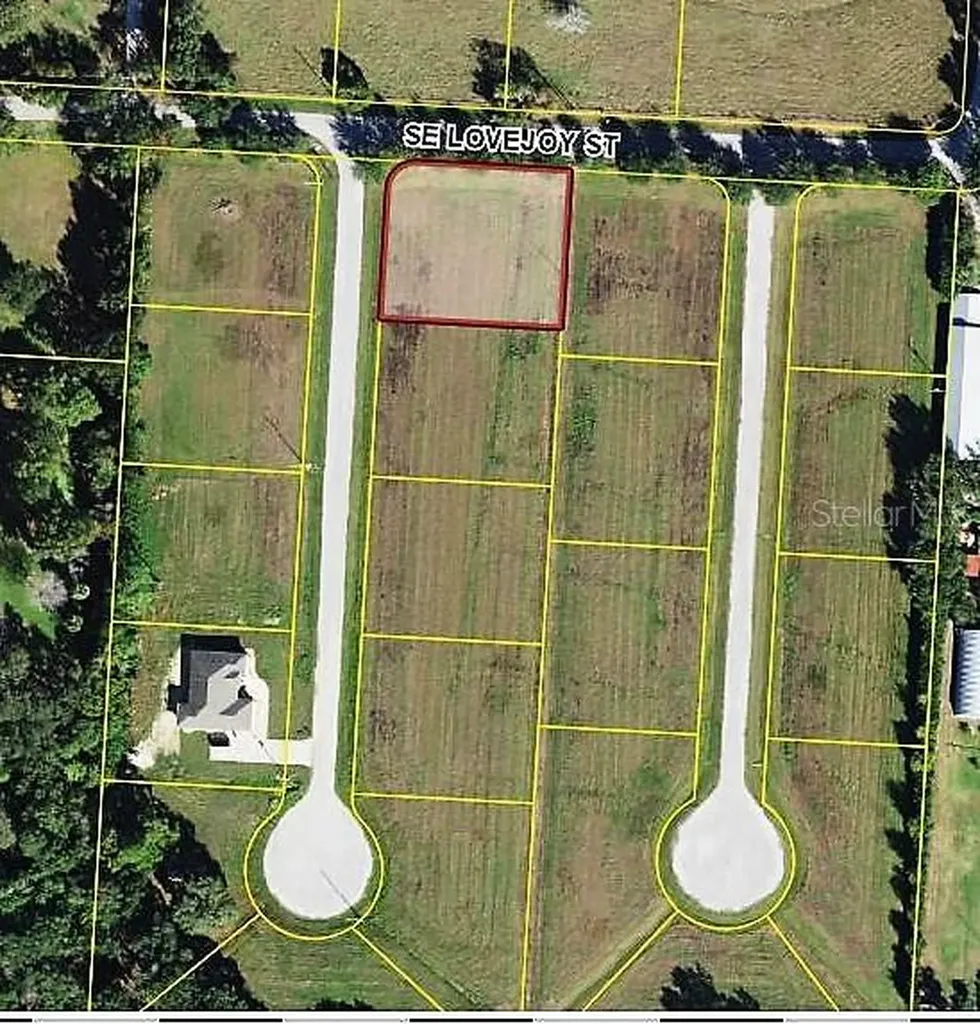 1600 SE Honeybell Lane Arcadia FL 34266