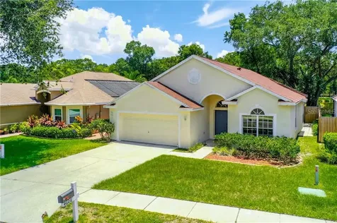 4606 Dunnie Drive Tampa FL 33614