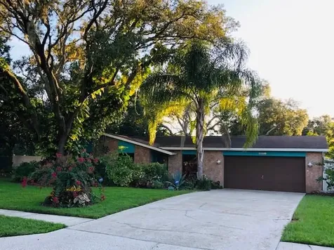 10500 N 62nd Street Temple Terrace FL 33617