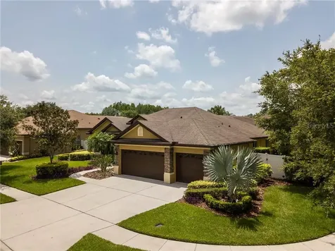19810 Strathmore Place Land O Lakes FL 34638