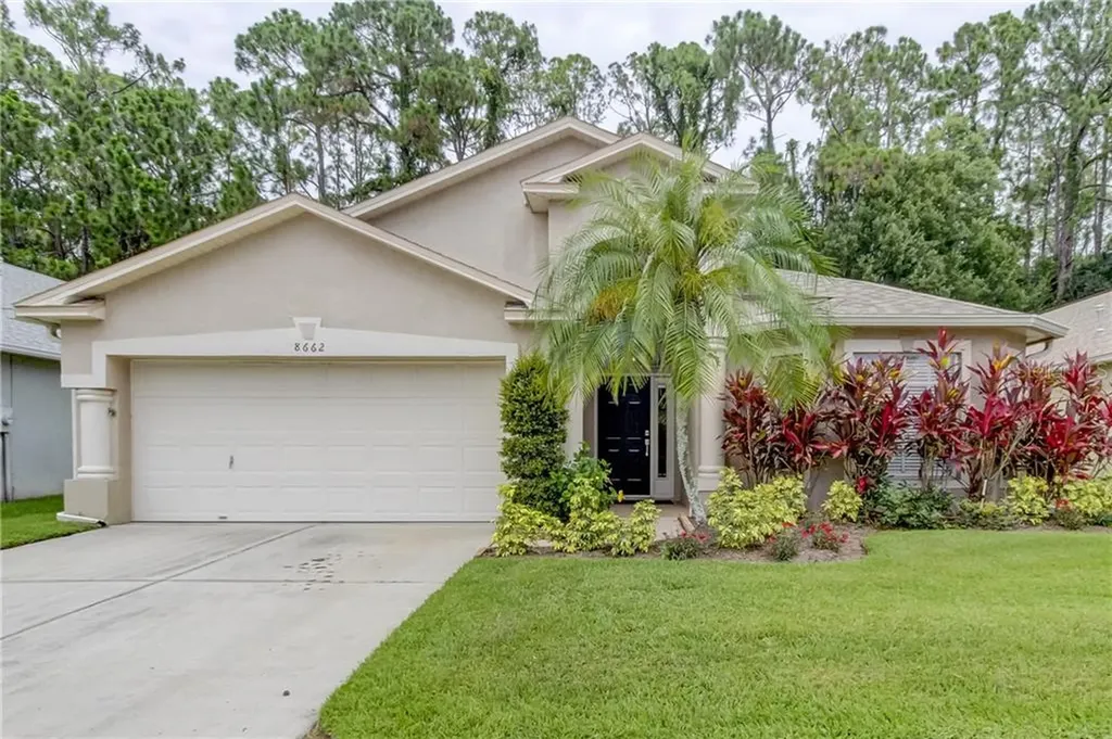 8662 Manassas Road Tampa FL 33635