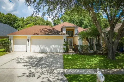 11707 Carrollwood Cove Drive Tampa FL 33624