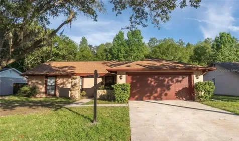 15302 Winterwind Drive Tampa FL 33624