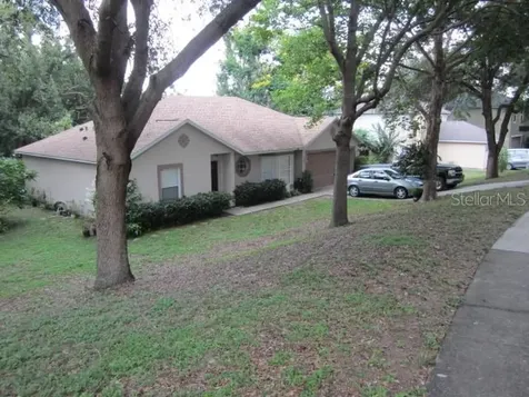 388 Brimming Lake Road Minneola FL 34715