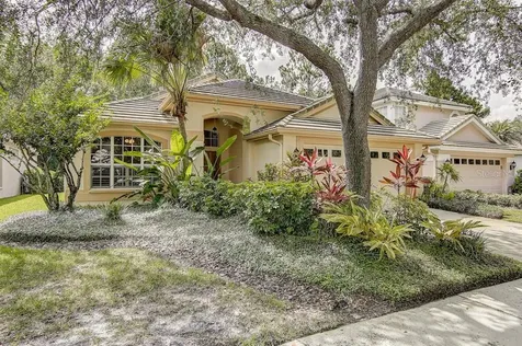 17738 Nathans Drive Tampa FL 33647